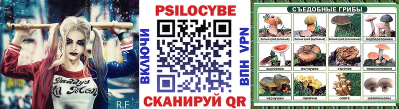 Купить закладки  Калининград  Галлюциногенные грибы Cubensis 